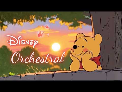 Cozy Disney Sunrise 🍯 | Gentle Orchestral Music for Study, Work & Relax