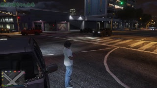 【GTA5】サメと二人でマルチ散歩