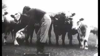 XTC - Love On A Farm Boy&#39;s Wages