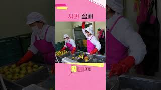 사과실패