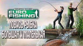 Как забрасывать удочку euro fishing