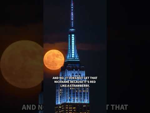 The strawberry moon lit up the night sky! 🌕🍓