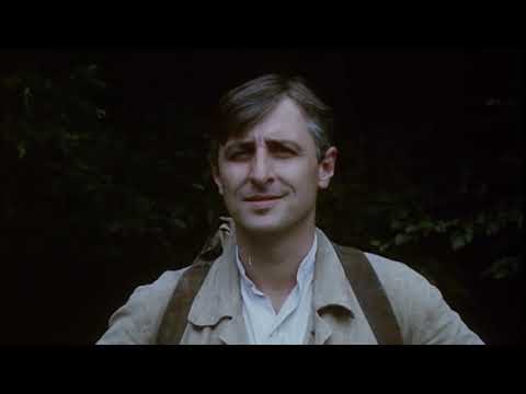 Трейлер