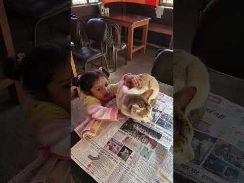 Avishi Enjoying With Cat 🐈#viralvideo #shorts #funny #animals #animallovers