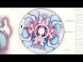 Brian Eno & J  Peter Schwalm  - Two Voices & More Dust