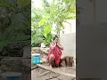 Vhutu Ka San Korata Gia Ami Vija Gachi Subscribe Shortvideo Shortviral
