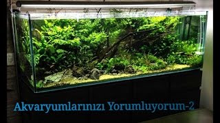 Akvaryumlarınızı Yorumluyorum-2