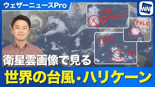 【ウェザーニュースPro】衛星雲画像から見る世界の台風・ハリケーン