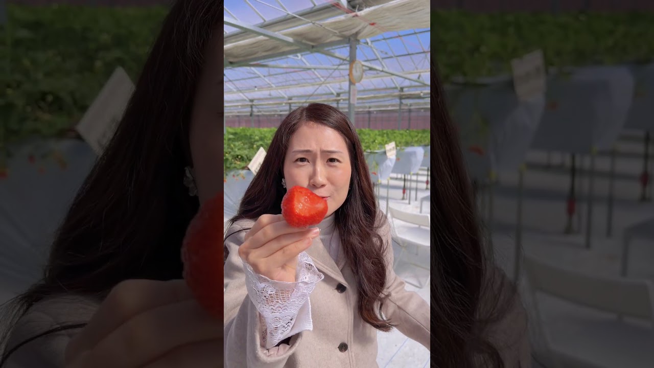 📍YOSHITONO SHIZEN NOUEN