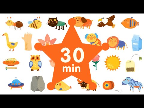 | 英語單詞歌+更多 - 英語詞彙兒童歌曲 (| Alphabets Song + More | English Vocabulary Kids Songs)