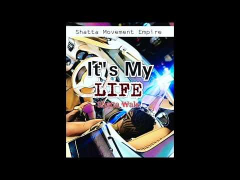 Shatta Wale - It's My Life [Sarkodie Diss] (Audio Slide)