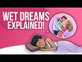 What Are The Reasons For Having Wet Dreams During The Puberty Stages For Boys