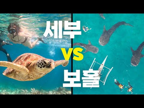 세부와 보홀: 필리핀의 매력적인 여행지 비교 및 6일 추천 여행 일정