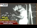 Adrushta Jatakudu Movie Chiru Chiru Navvula Video Song NTR Vanisri Shalimar Songs
