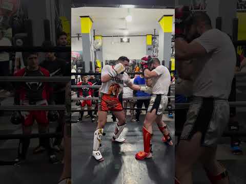 Kickboxing Effective Combo 🥊 #mma #ufc #training #kickboxing #tricks #feint #knockout #combo