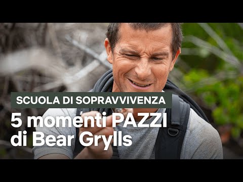 Bear Grylls mangia le ghiande da una ME**A di ORSO in Scuola di sopravvivenza | Netflix Italia
