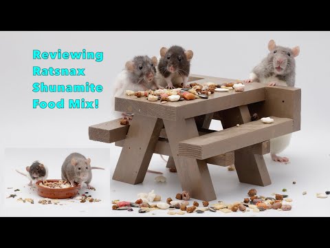 Ratsnax Shunamite Food Mix Review!
