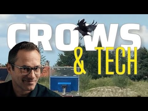 Can Technology Save Our Relationships with Nature?