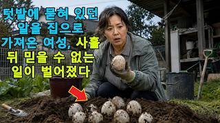 Download lagu 텃밭에 묻혀 있던 알을 집으로 가져온 여성, 사흘 뒤 믿을 수 없는 일이 벌어졌다 mp3