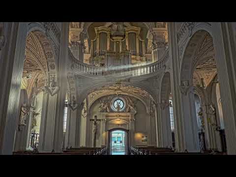 Virsi 151 - Nyt yhdessä jo lähtekää