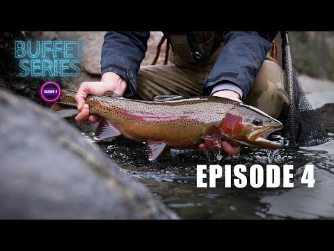 Finding Water - Ep.4 Buffet Series - Spring Fly Fishing Adventure Film!