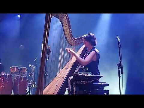 Alina  Bzhezhinska & Hipharpcollective live @ Gent Jazz festival 2023 🇧🇪