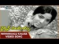 Chairman Chalamayya Movie Nayanaalu Kalise Video Song Chalam Vijaya Lalitha Shalimarcinema