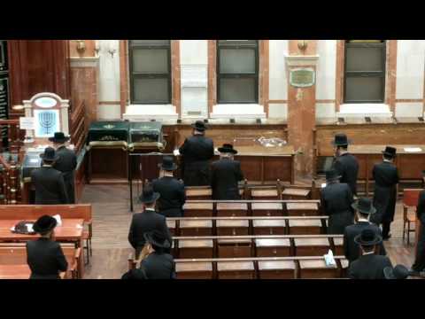 Satmar Rabbi Sfirah in Satmar Shul Boro Park