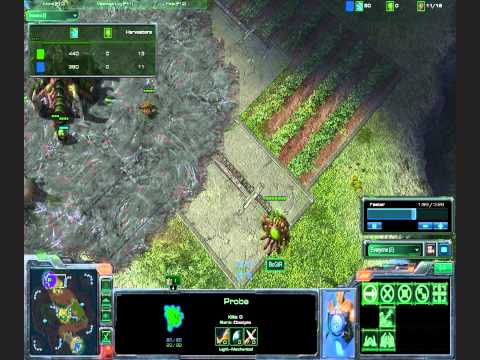 Hilarious Protoss vs. Zerg 1v1 Encounter