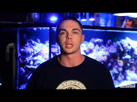 LED A160WE Tuna Blue LED A160WE Tuna Blue