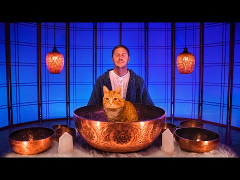 Tibetan Sounds for Sleep - Cat Purring Sound Bath