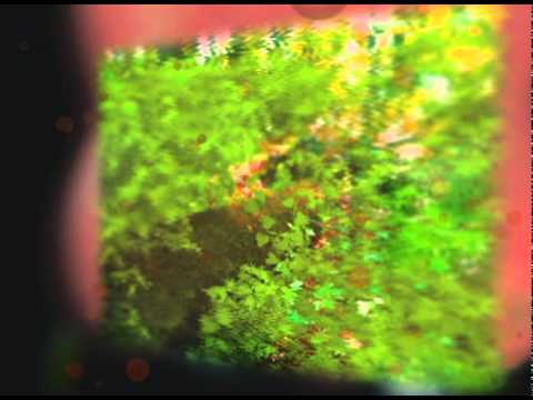 Guell - near the parenthesis