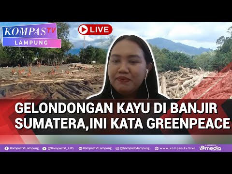 Kayu Gelondongan Banjir Sumatera,Singgung Eksploitasi-Perusahaan Ilegal Begini Kata Greenpeace