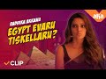 Radhika Akkanu Egypt Evaru Tiskellaru? | DJ Tillu | STREAMING NOW | Sidhu, Neha,