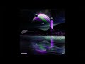 Rod Wave Jupiter S Diary SLOWED