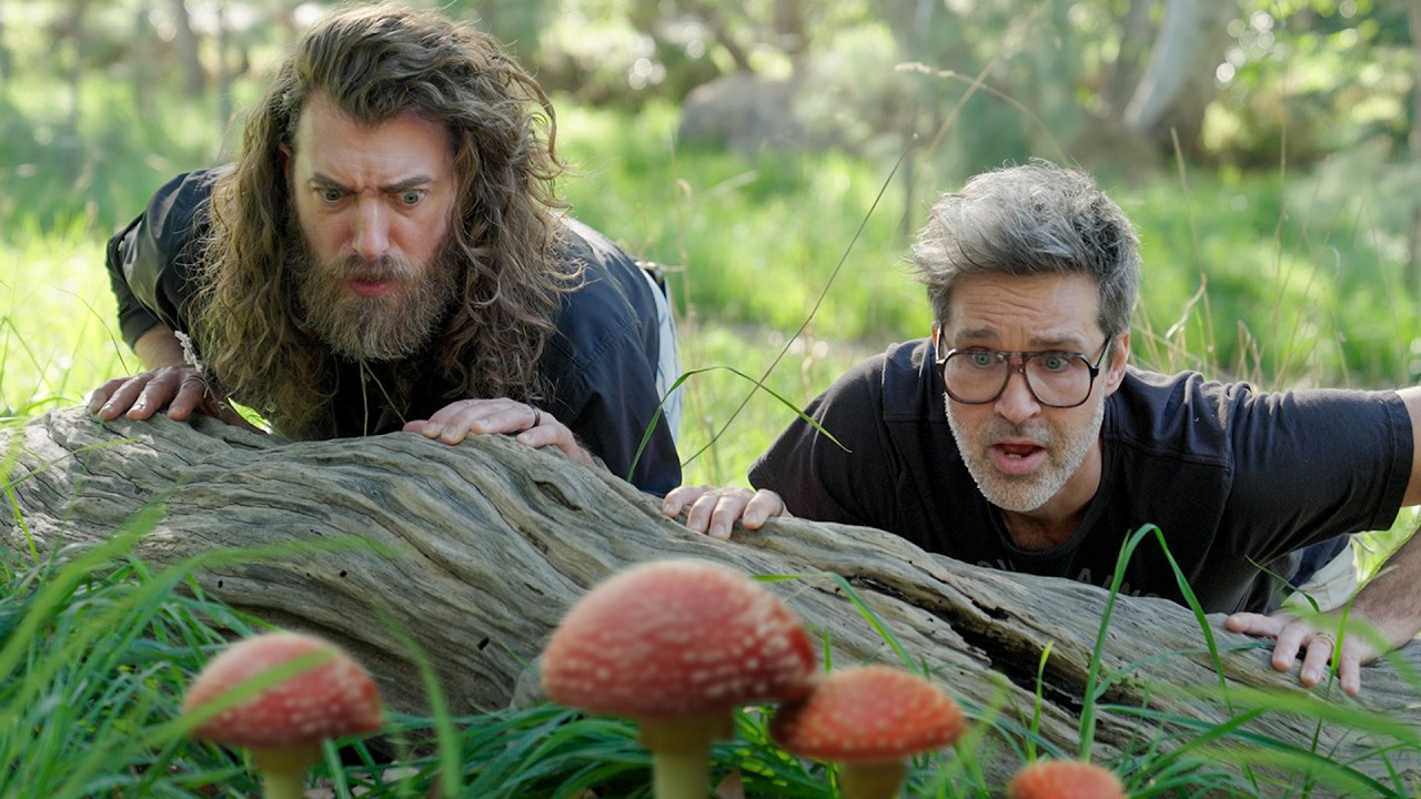 We Forage For Food