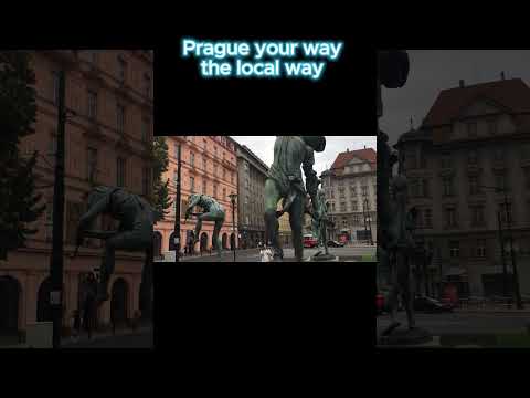 Tailored Prague tours by Jarmila  #travel #explore  #prague  #tours  #beer  #nightlife  #castle