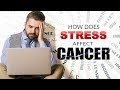 How Does Stress Affect Cancer