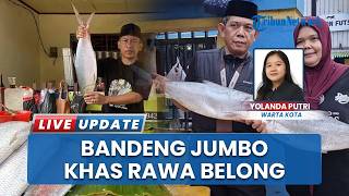 Pramono Anung Lihat Bandeng Jumbo Berkilau di Rawa Belong, Tradisi Imlek Dongkrak Omzet Pedagang