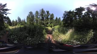 Nice downhill - Off Road Handcycle