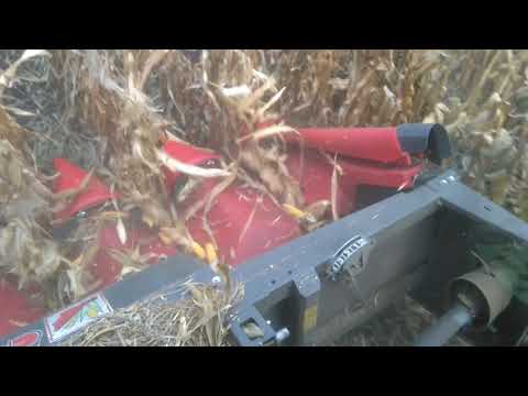 DKC 5276  Jermenovci 2017