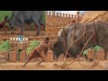 Saradhi Studios AV Saradhi Studios Relaunch TFPC