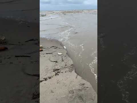 1 de febrero tolu sucre