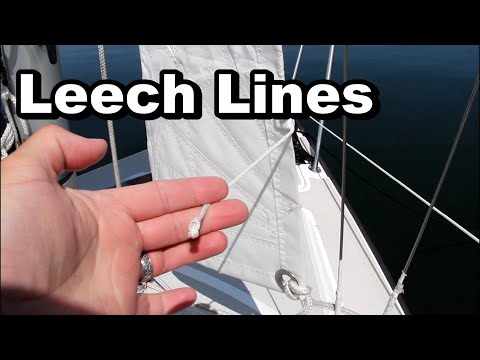 All about leech lines