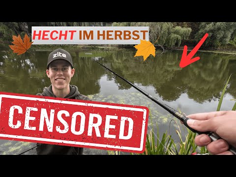 Hechtangeln im Herbst, so kommst du jetzt an Fisch