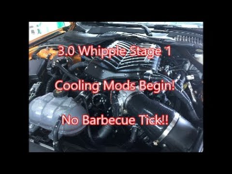 Whippled! 2018 Mustang GT 5.0 10R80 Cooling Mods Begin! 170 Degree Reische Thermostat And More