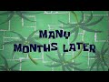 Many Months Later   SpongeBob Time Card #14