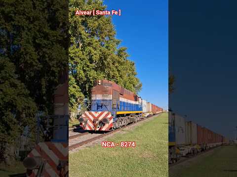 NCA - 8274 #nca #trenes #reelvideos #reelfeed #reel #fypシ #viralshort #shortvideos #train