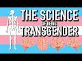 The Science Of Being Transgender