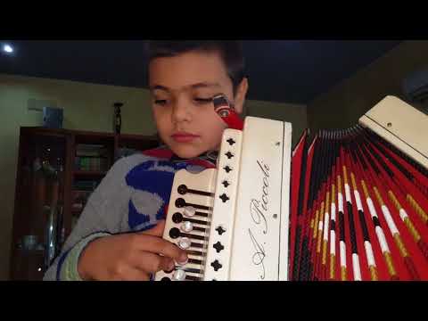 la.  sgrilla con l organetto